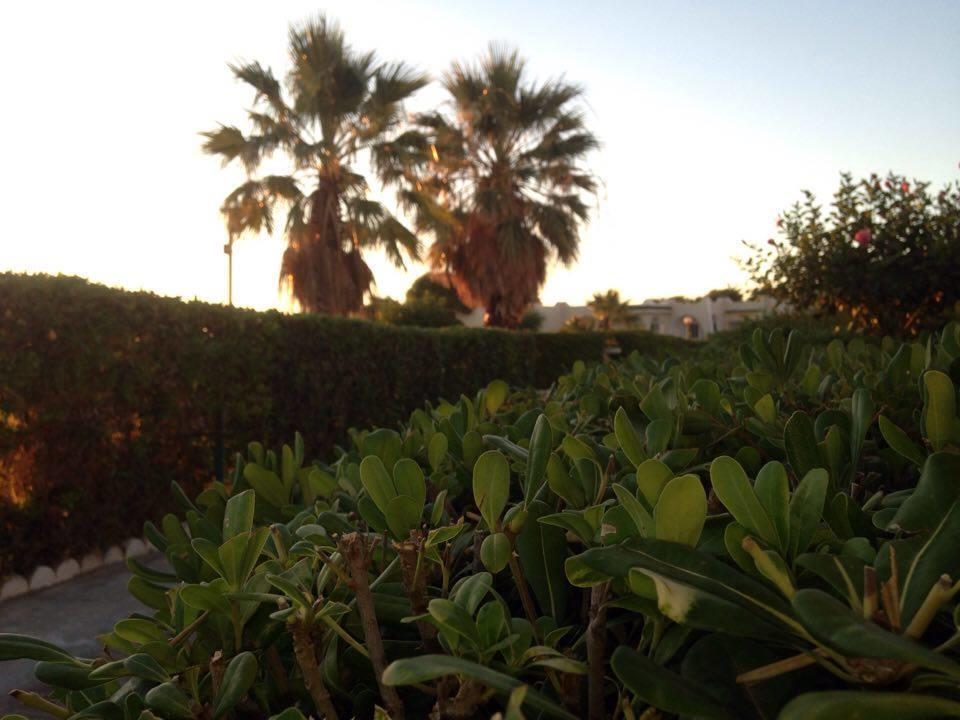 Hotel Complexe Touristique Sidi Salem à Bizerte Extérieur photo